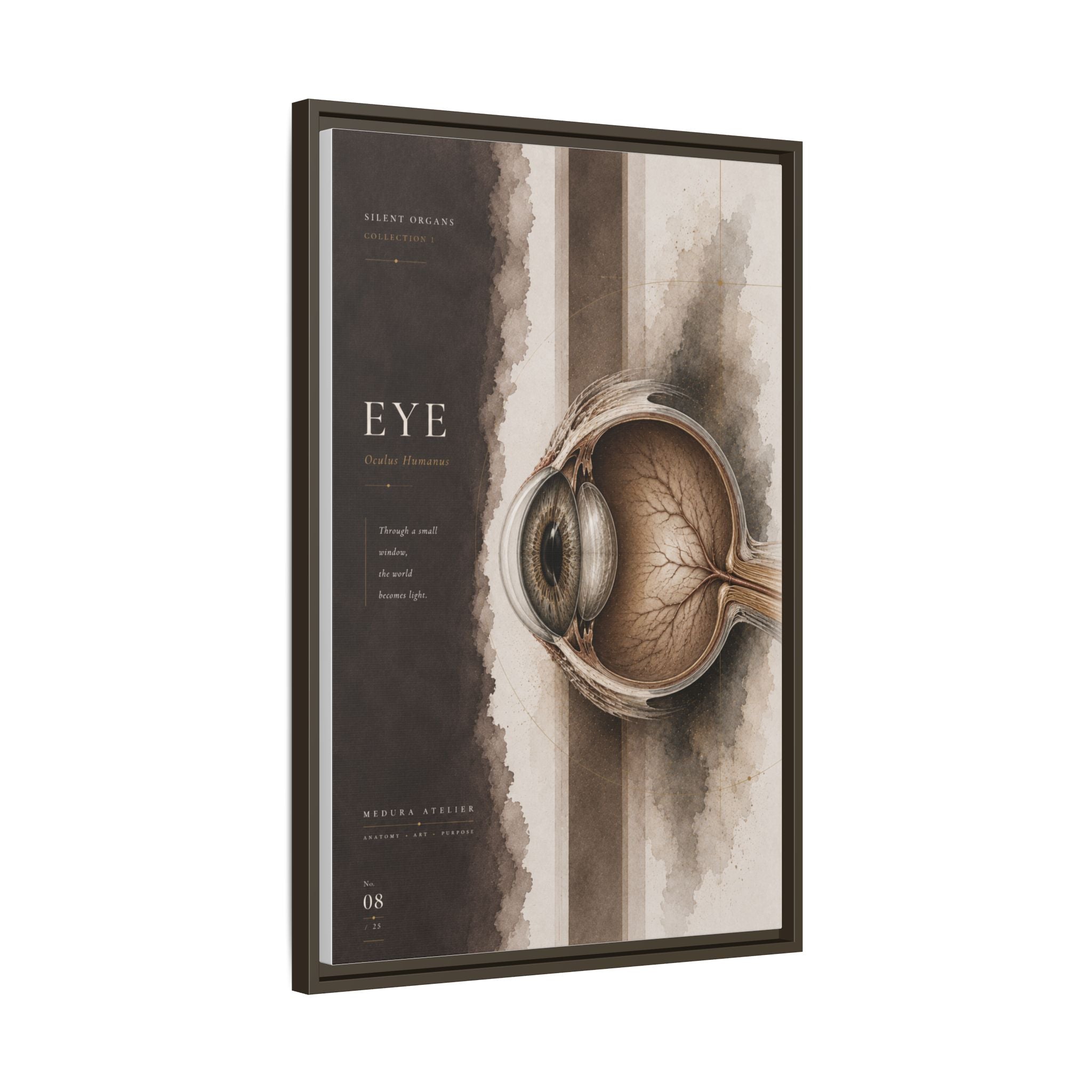 Silent Organs – Eye Wall Art | Luxury Anatomical Canvas Print | Museum-Inspired Fine Art