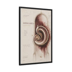 Silent Organs – Hippocampus Wall Art | Luxury Neuroscience Canvas Print | Museum-Inspired Fine Art