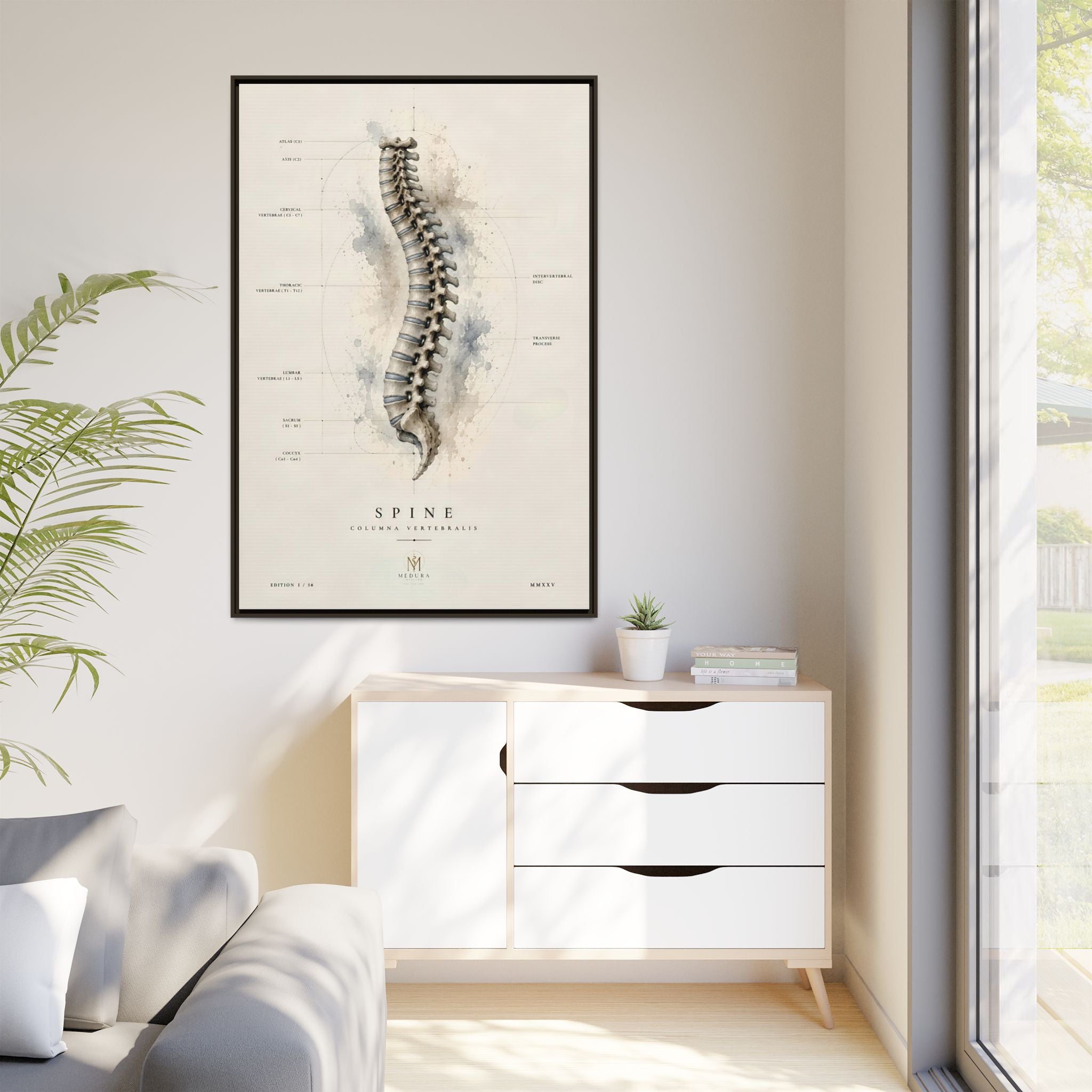 Anatomical Spine Wall Art | Luxury Vertebral Column Canvas Print | Museum-Inspired Fine Art