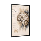 White Matter Brain Wall Art | Luxury Neuroscience Canvas Print | Museum-Inspired Fine Art