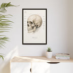 Anatomical Skull Wall Art | Luxury Medical Canvas Print | Museum-Inspired Fine Art