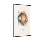 Anatomical Eye Canvas Print | Luxury Ophthalmology Wall Art | Museum-Inspired Medical Decor