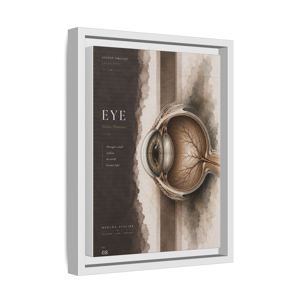 Silent Organs – Eye Wall Art | Luxury Anatomical Canvas Print | Museum-Inspired Fine Art