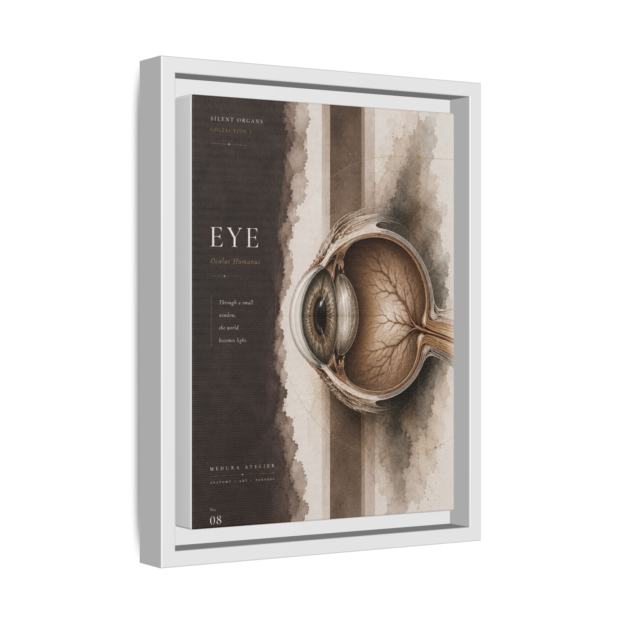 Silent Organs – Eye Wall Art | Luxury Anatomical Canvas Print | Museum-Inspired Fine Art