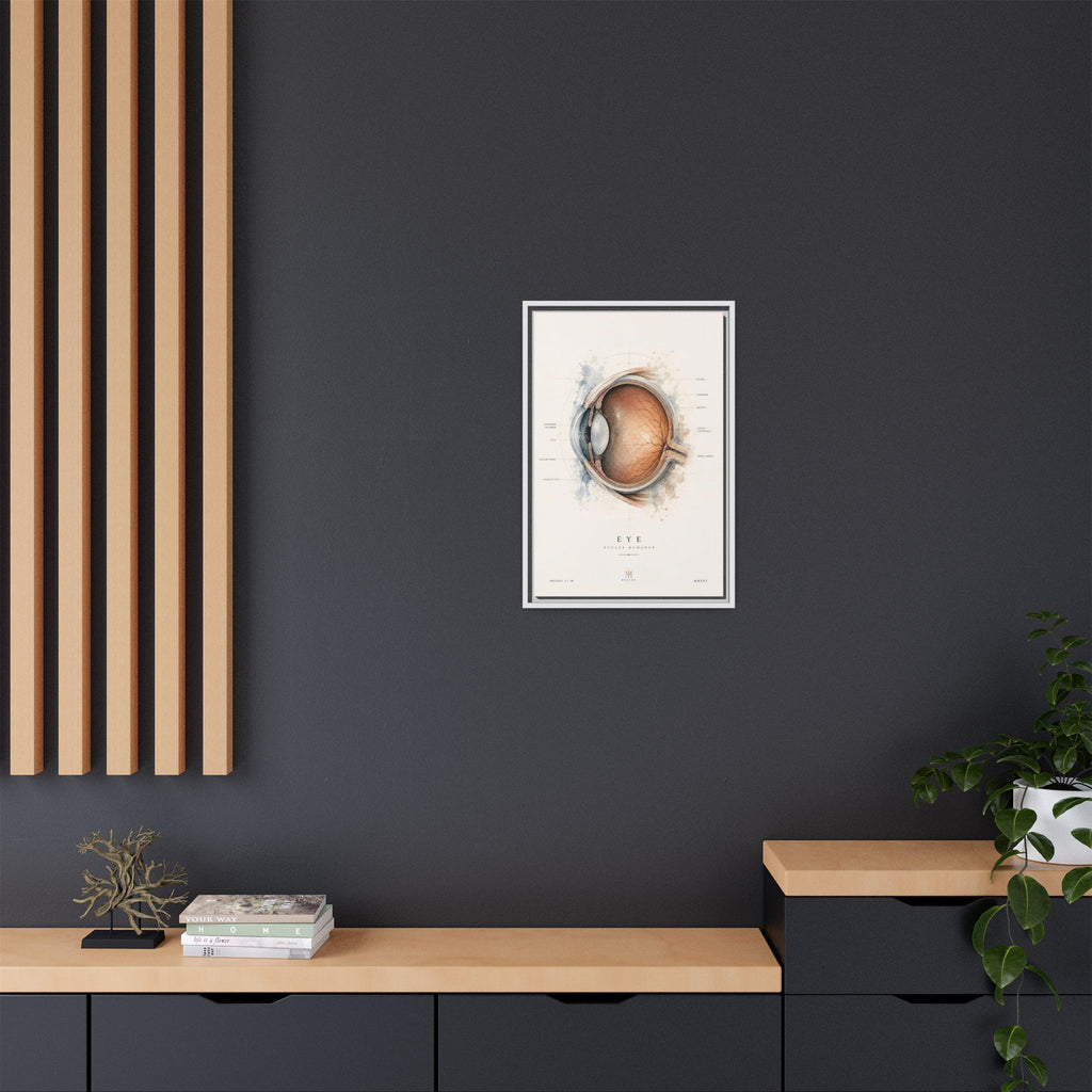 Anatomical Eye Canvas Print | Luxury Ophthalmology Wall Art | Museum-Inspired Medical Decor