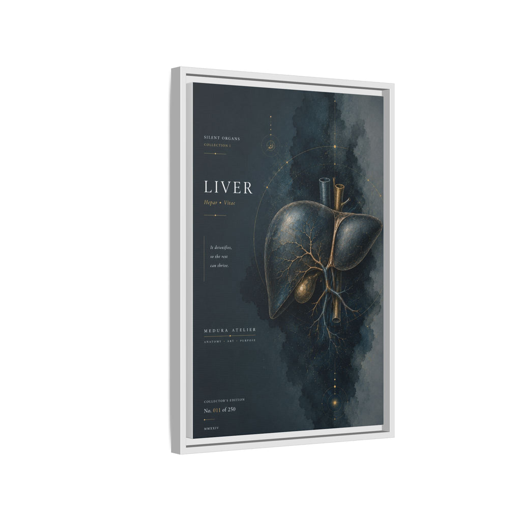 Silent Organs – Liver Wall Art | Luxury Anatomical Canvas Print | Museum-Inspired Fine Art
