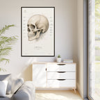 Anatomical Skull Wall Art | Luxury Medical Canvas Print | Museum-Inspired Fine Art