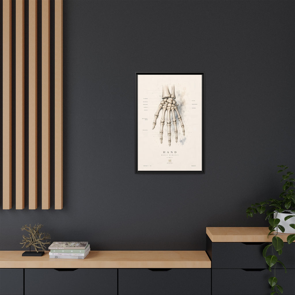 Anatomical Hand Skeleton Wall Art | Luxury Orthopaedic Canvas Print | Museum-Inspired Fine Art