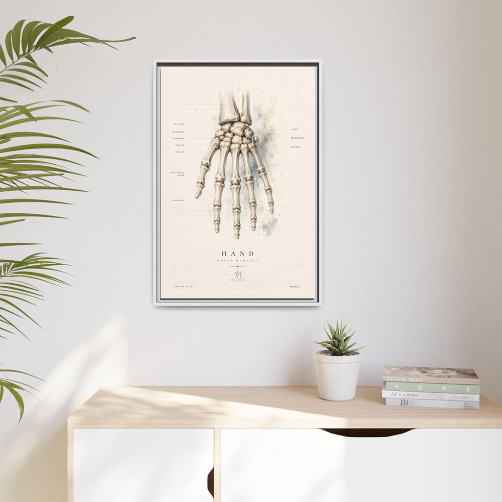 Anatomical Hand Skeleton Wall Art | Luxury Orthopaedic Canvas Print | Museum-Inspired Fine Art