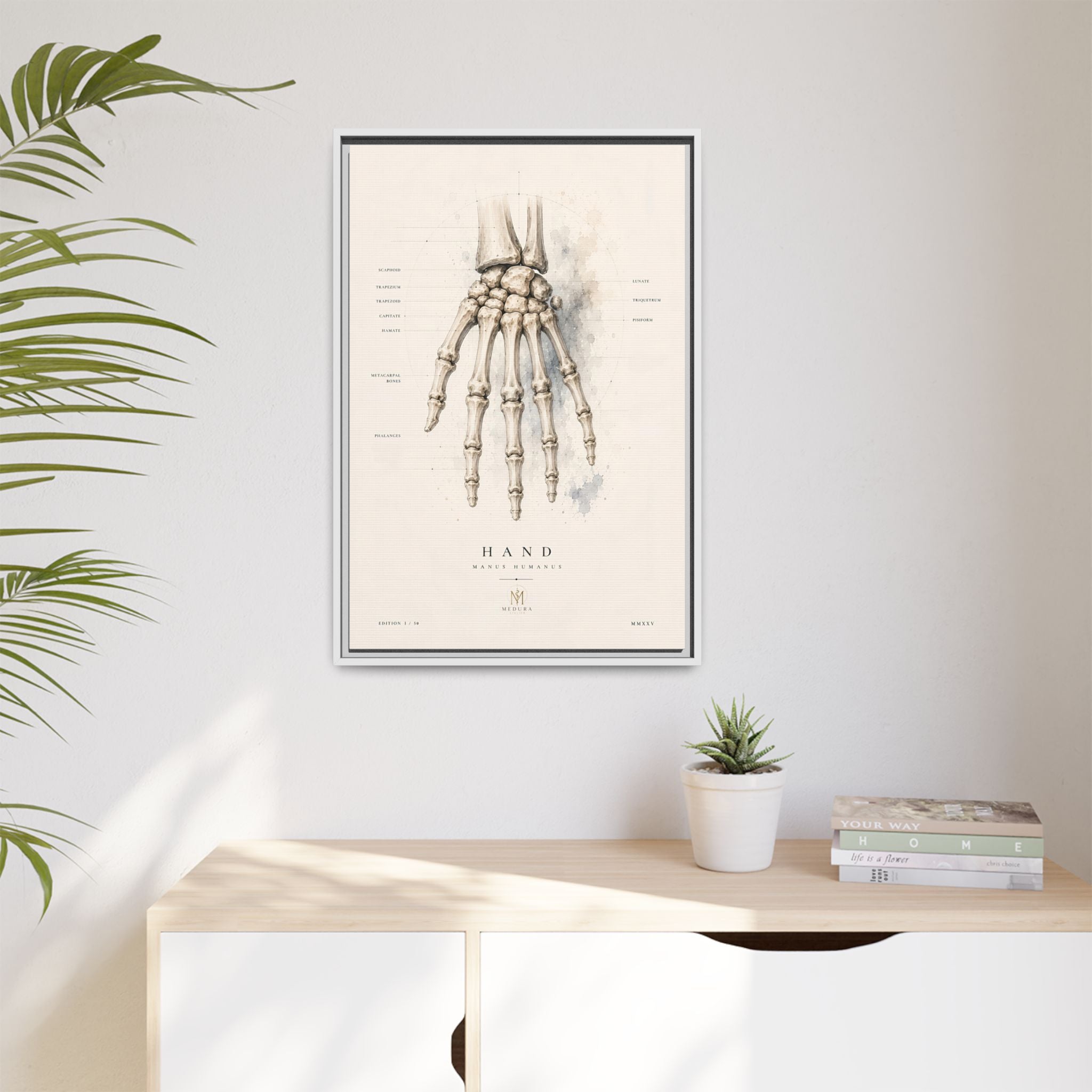 Anatomical Hand Skeleton Wall Art | Luxury Orthopaedic Canvas Print | Museum-Inspired Fine Art