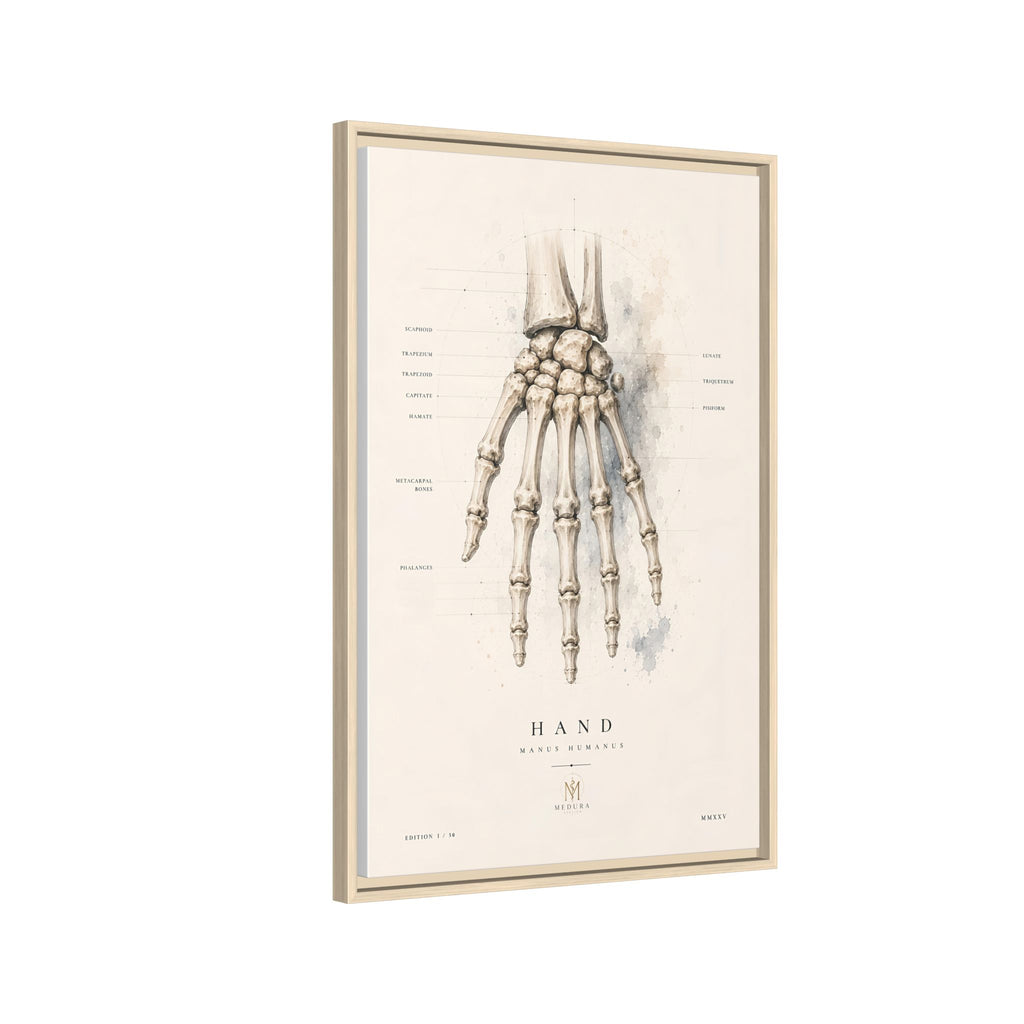 Anatomical Hand Skeleton Wall Art | Luxury Orthopaedic Canvas Print | Museum-Inspired Fine Art