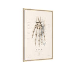 Anatomical Hand Skeleton Wall Art | Luxury Orthopaedic Canvas Print | Museum-Inspired Fine Art