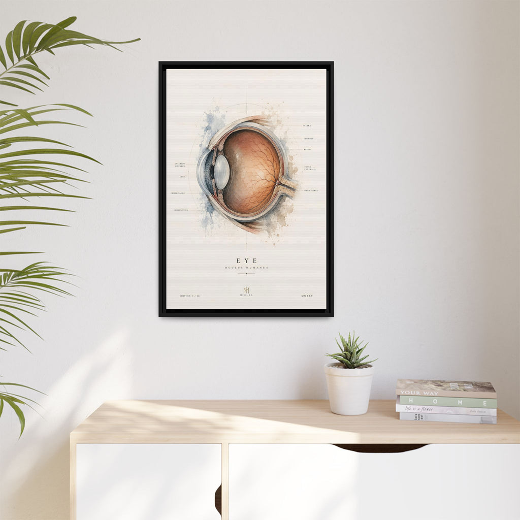 Anatomical Eye Canvas Print | Luxury Ophthalmology Wall Art | Museum-Inspired Medical Decor