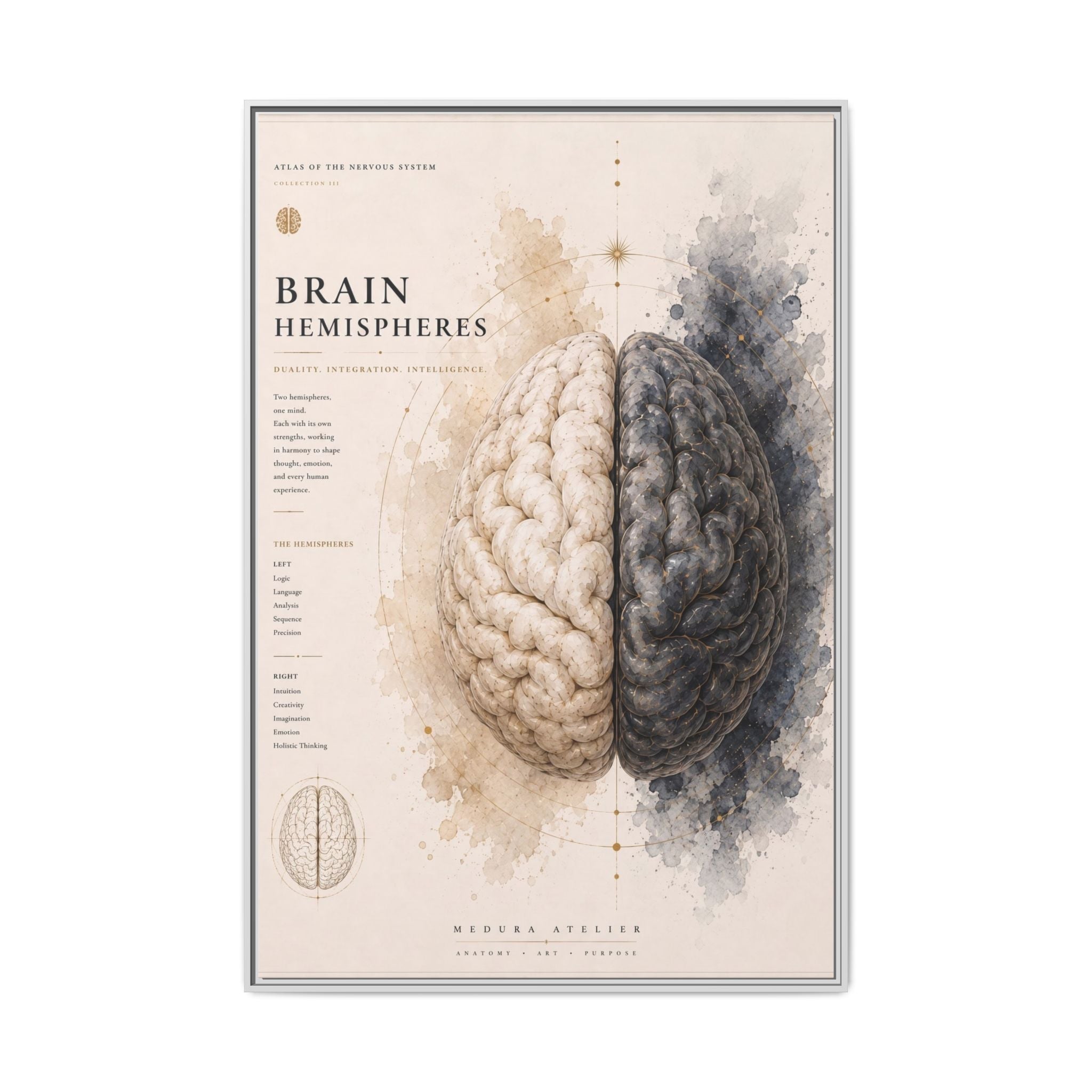Brain Hemispheres Wall Art | Luxury Neuroscience Canvas Print | Museum-Inspired Fine Art