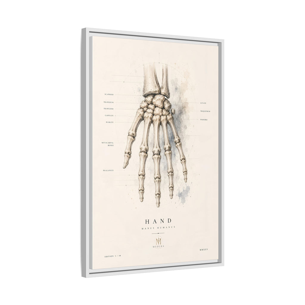 Anatomical Hand Skeleton Wall Art | Luxury Orthopaedic Canvas Print | Museum-Inspired Fine Art