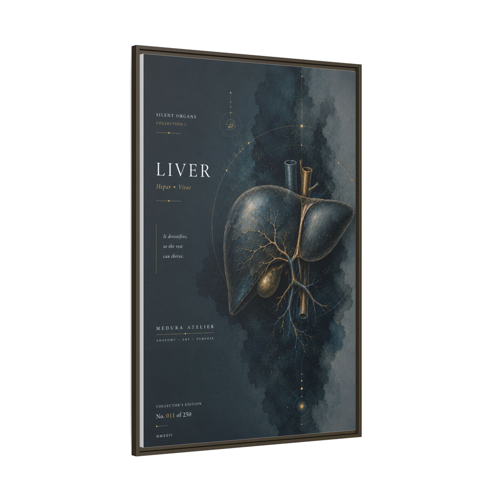 Silent Organs – Liver Wall Art | Luxury Anatomical Canvas Print | Museum-Inspired Fine Art