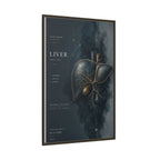 Silent Organs – Liver Wall Art | Luxury Anatomical Canvas Print | Museum-Inspired Fine Art