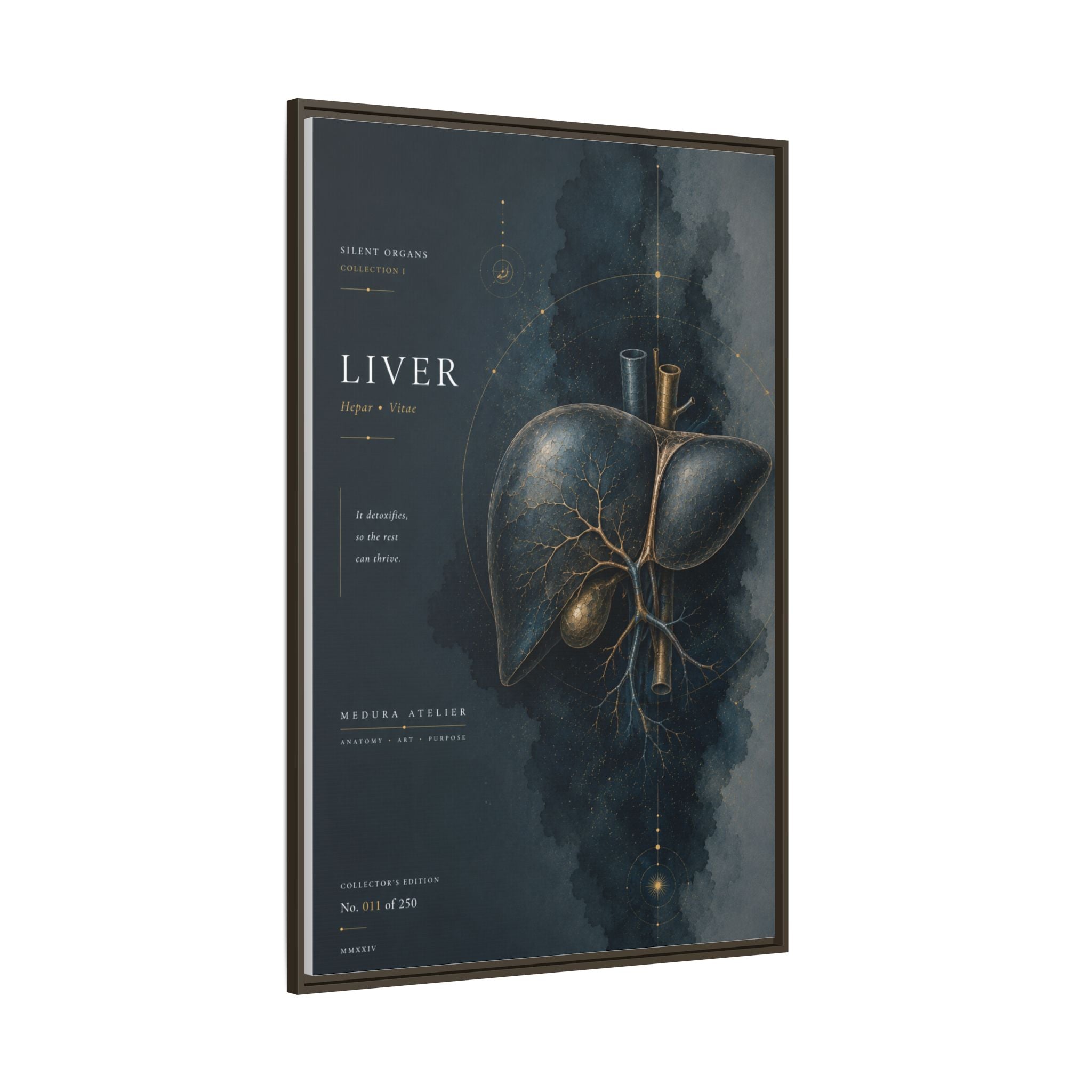 Silent Organs – Liver Wall Art | Luxury Anatomical Canvas Print | Museum-Inspired Fine Art