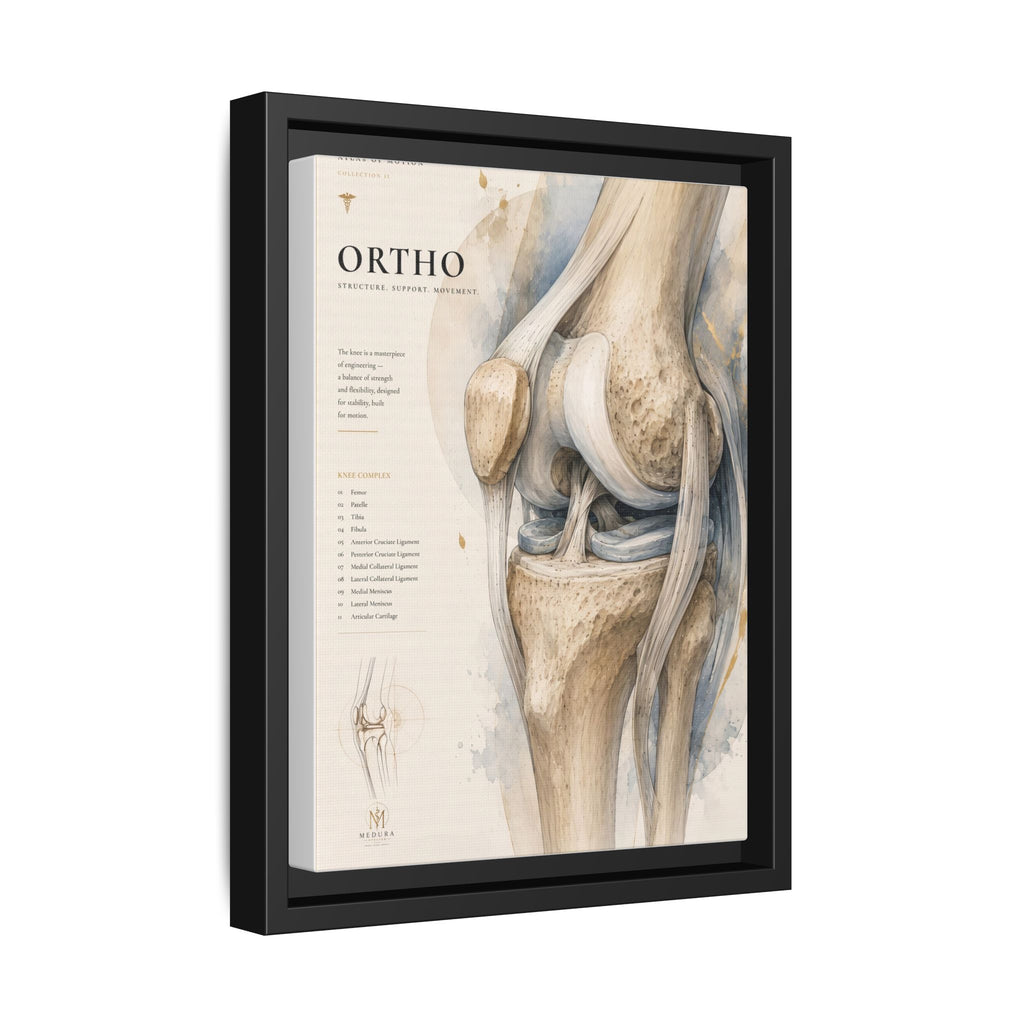 Orthopaedic Knee Anatomy Wall Art | Luxury Orthopedic Canvas Print | Museum-Inspired Fine Art