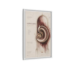 Silent Organs – Hippocampus Wall Art | Luxury Neuroscience Canvas Print | Museum-Inspired Fine Art
