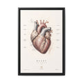Anatomical Heart Wall Art | Luxury Medical Canvas Print | Museum-Inspired Fine Art