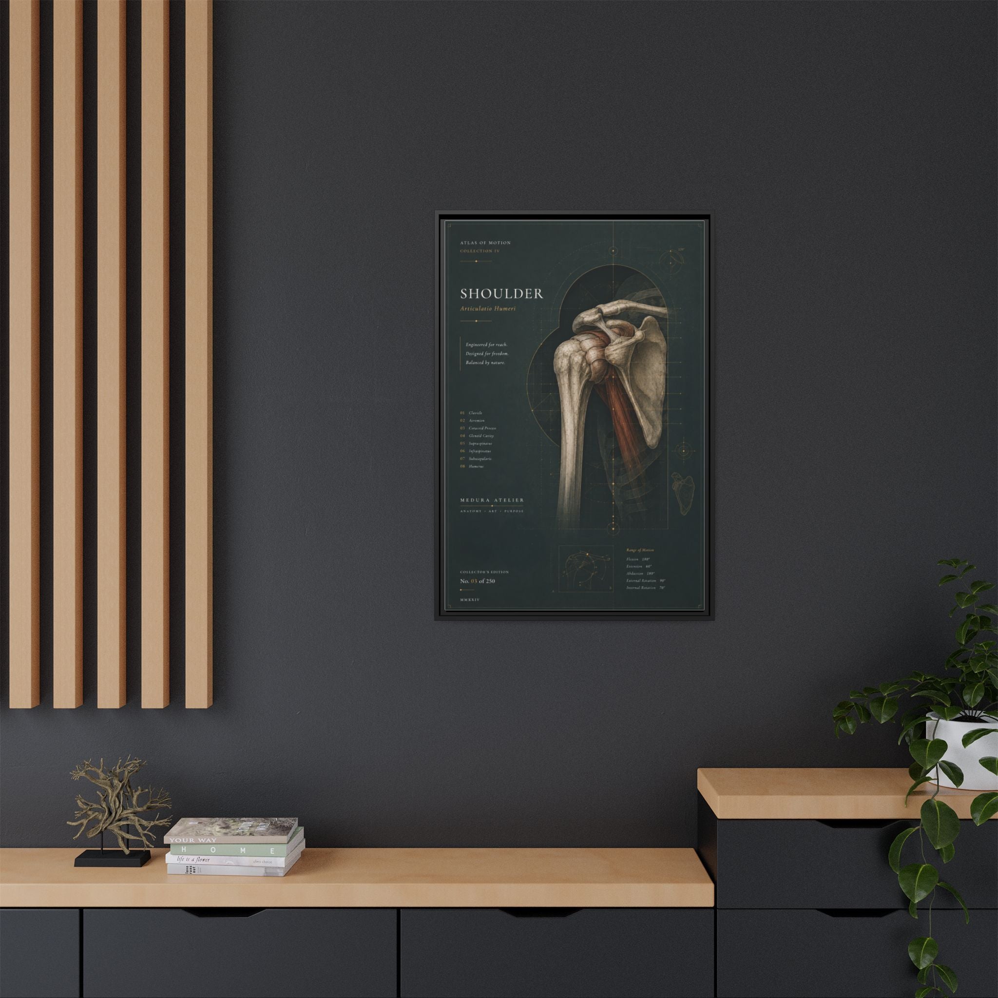 Copy of Atlas of Motion – Knee Wall Art | Luxury Orthopedic Canvas Print | Museum-Inspired Fine Art