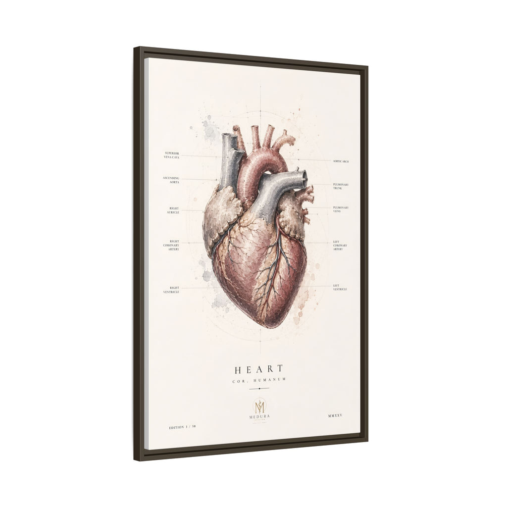 Anatomical Heart Wall Art | Luxury Medical Canvas Print | Museum-Inspired Fine Art