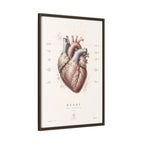 Anatomical Heart Wall Art | Luxury Medical Canvas Print | Museum-Inspired Fine Art