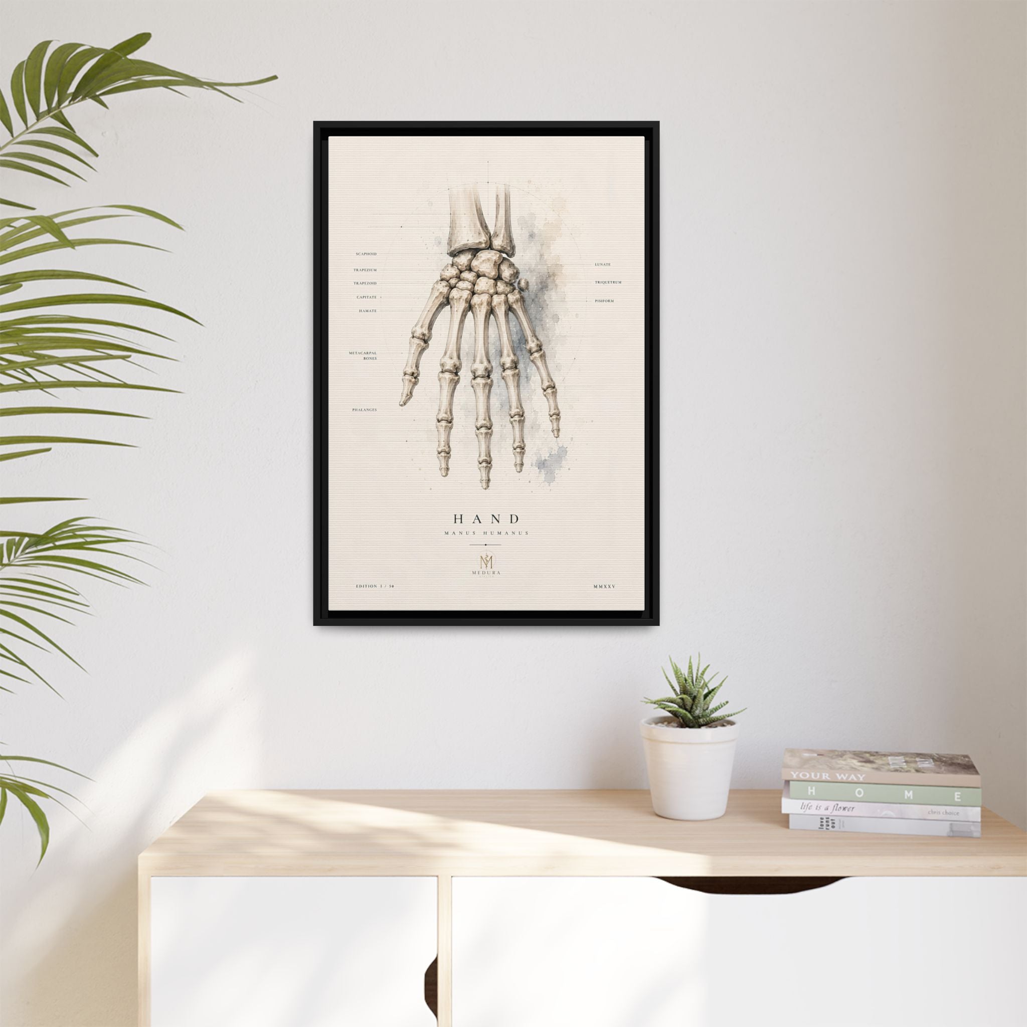 Anatomical Hand Skeleton Wall Art | Luxury Orthopaedic Canvas Print | Museum-Inspired Fine Art