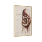 Silent Organs – Hippocampus Wall Art | Luxury Neuroscience Canvas Print | Museum-Inspired Fine Art