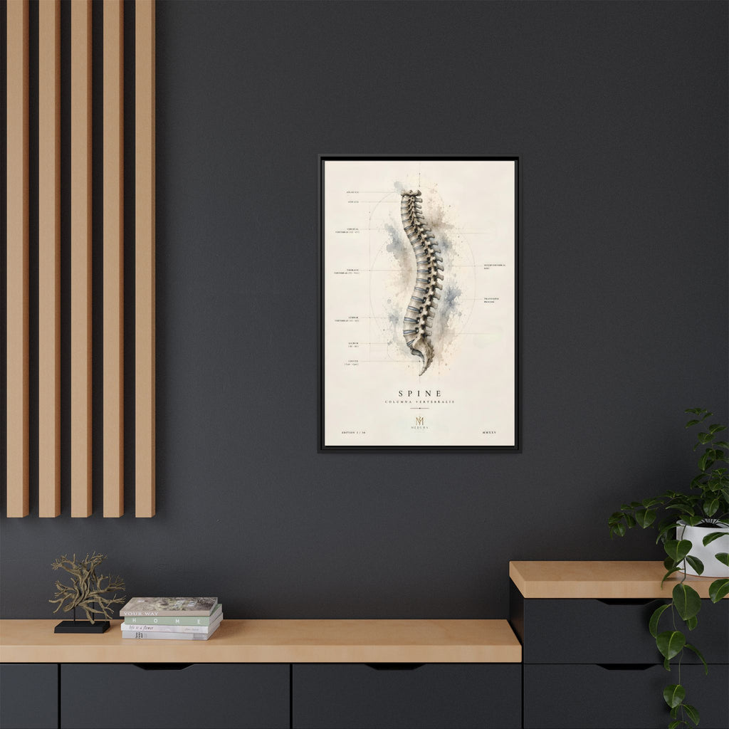 Anatomical Spine Wall Art | Luxury Vertebral Column Canvas Print | Museum-Inspired Fine Art