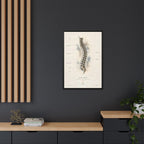 Anatomical Spine Wall Art | Luxury Vertebral Column Canvas Print | Museum-Inspired Fine Art