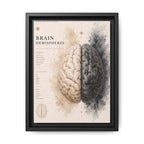 Brain Hemispheres Wall Art | Luxury Neuroscience Canvas Print | Museum-Inspired Fine Art