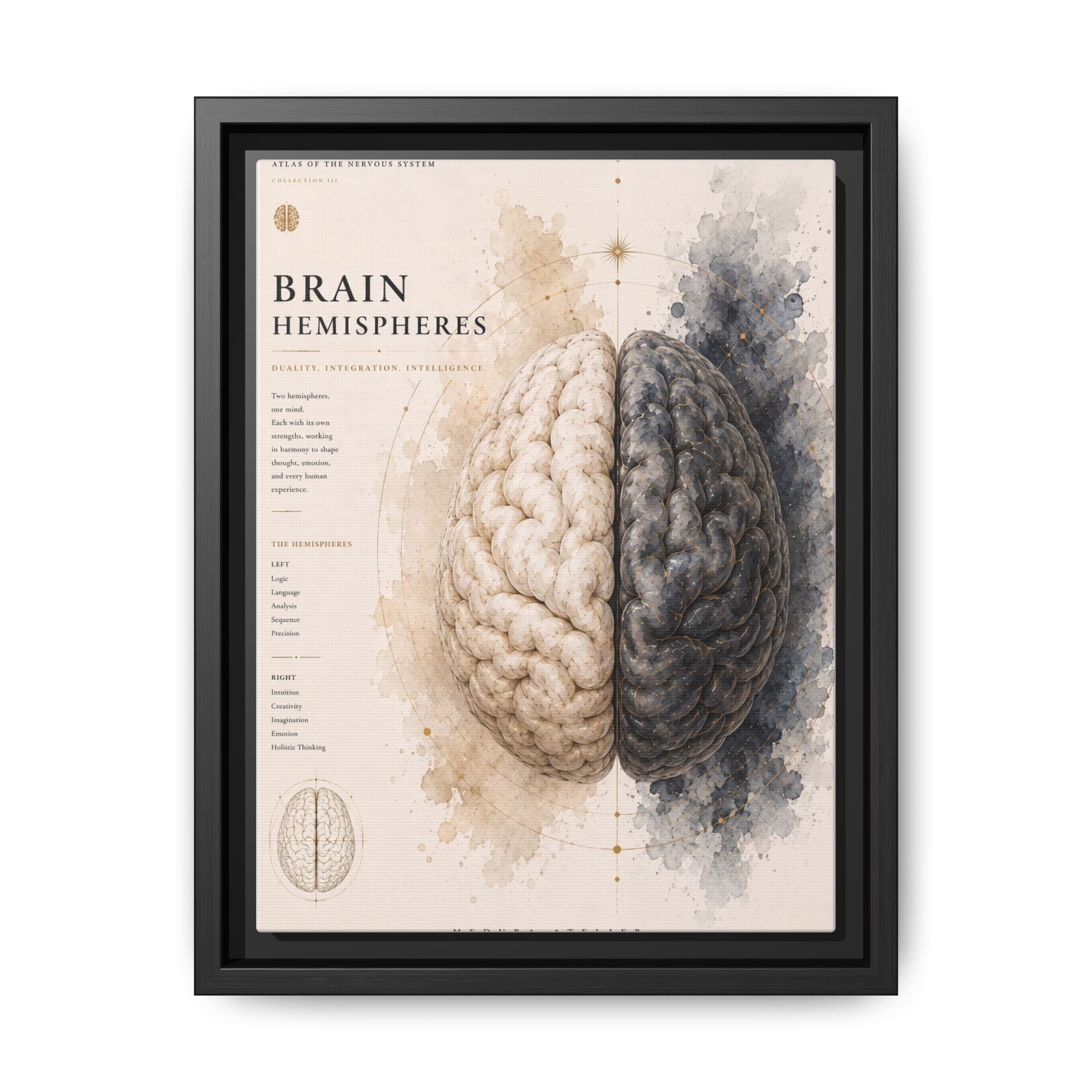 Brain Hemispheres Wall Art | Luxury Neuroscience Canvas Print | Museum-Inspired Fine Art