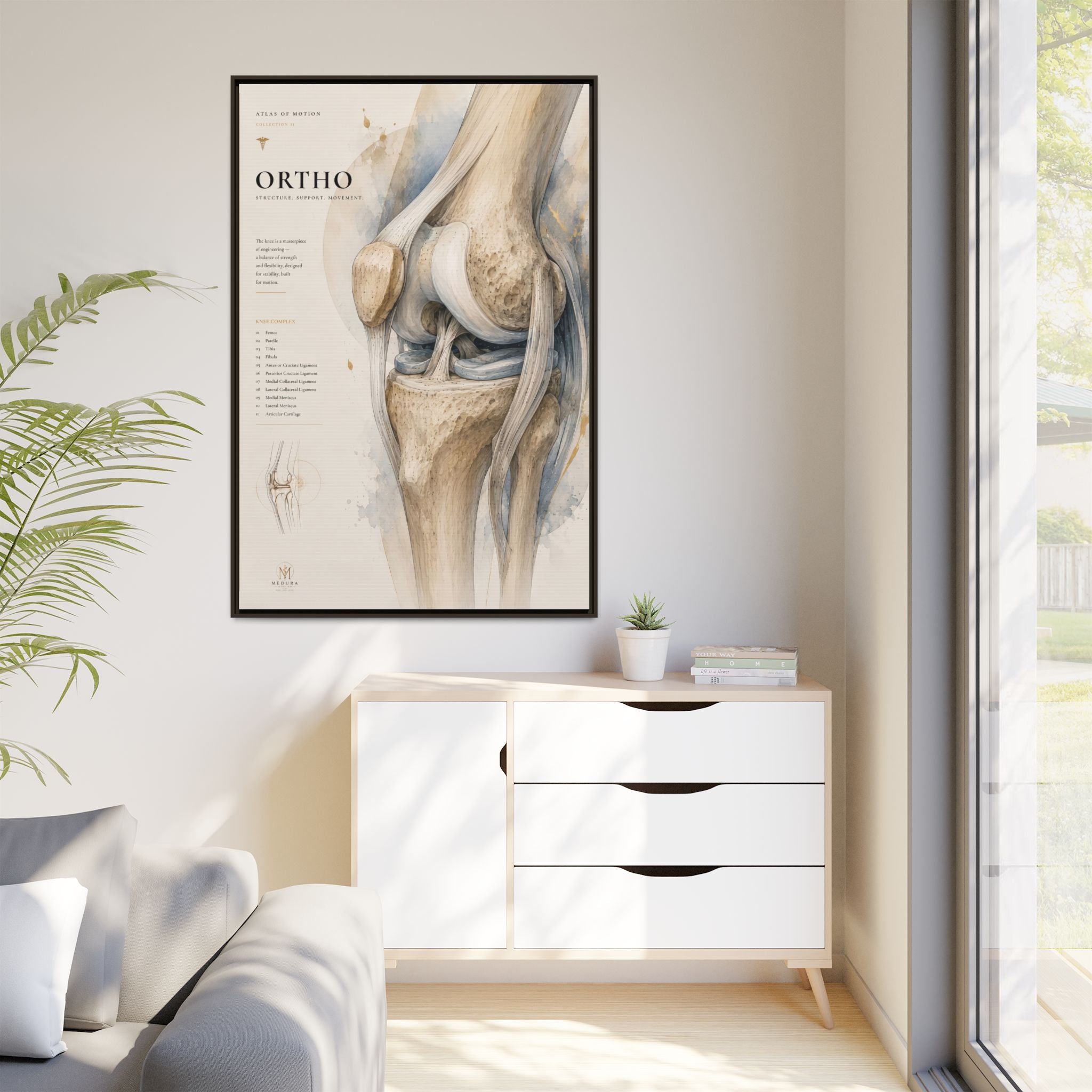Orthopaedic Knee Anatomy Wall Art | Luxury Orthopedic Canvas Print | Museum-Inspired Fine Art
