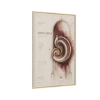 Silent Organs – Hippocampus Wall Art | Luxury Neuroscience Canvas Print | Museum-Inspired Fine Art