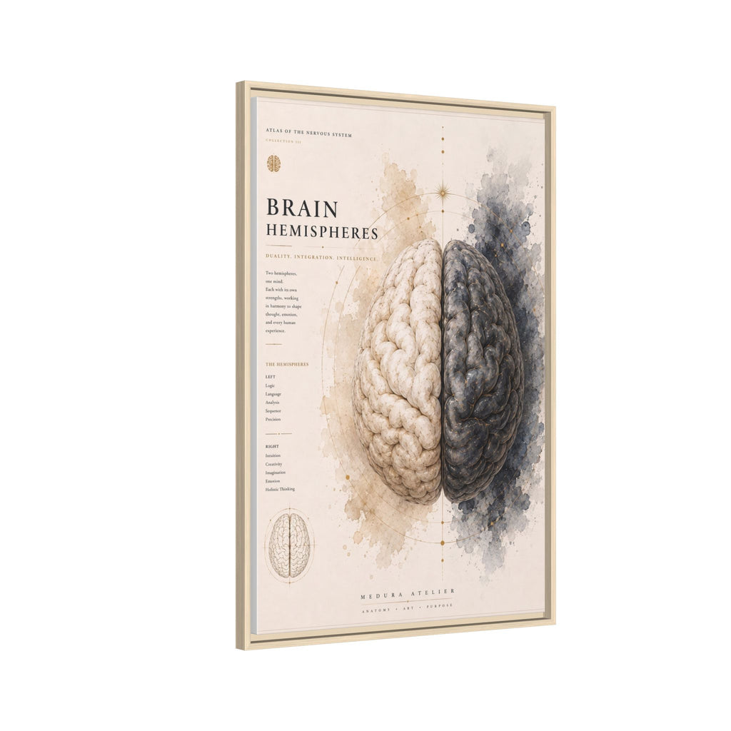 Brain Hemispheres Wall Art | Luxury Neuroscience Canvas Print | Museum-Inspired Fine Art