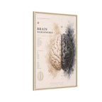 Brain Hemispheres Wall Art | Luxury Neuroscience Canvas Print | Museum-Inspired Fine Art