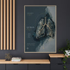 Silent Organs – Lungs Wall Art | Luxury Anatomical Canvas Print | Museum-Inspired Fine Art