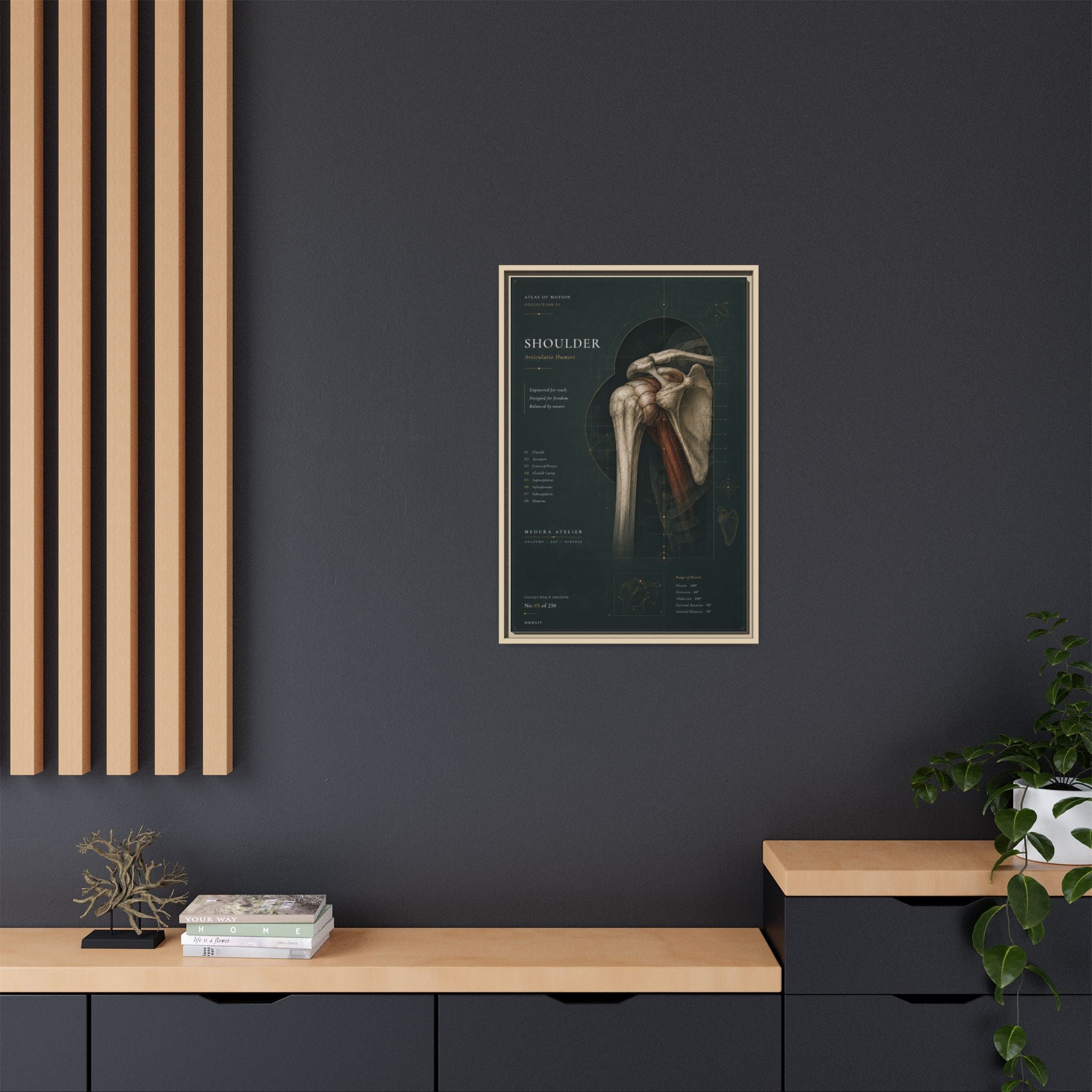 Copy of Atlas of Motion – Knee Wall Art | Luxury Orthopedic Canvas Print | Museum-Inspired Fine Art