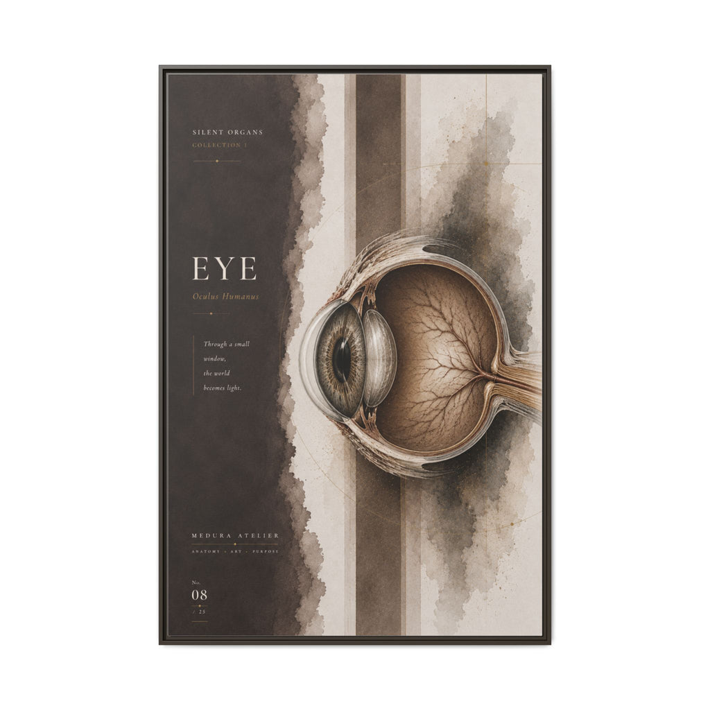 Silent Organs – Eye Wall Art | Luxury Anatomical Canvas Print | Museum-Inspired Fine Art