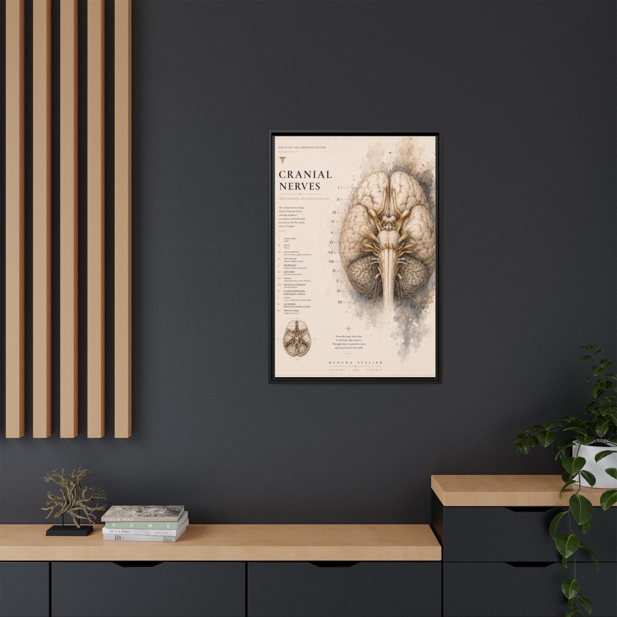 White Matter Brain Wall Art | Luxury Neuroscience Canvas Print | Museum-Inspired Fine Art