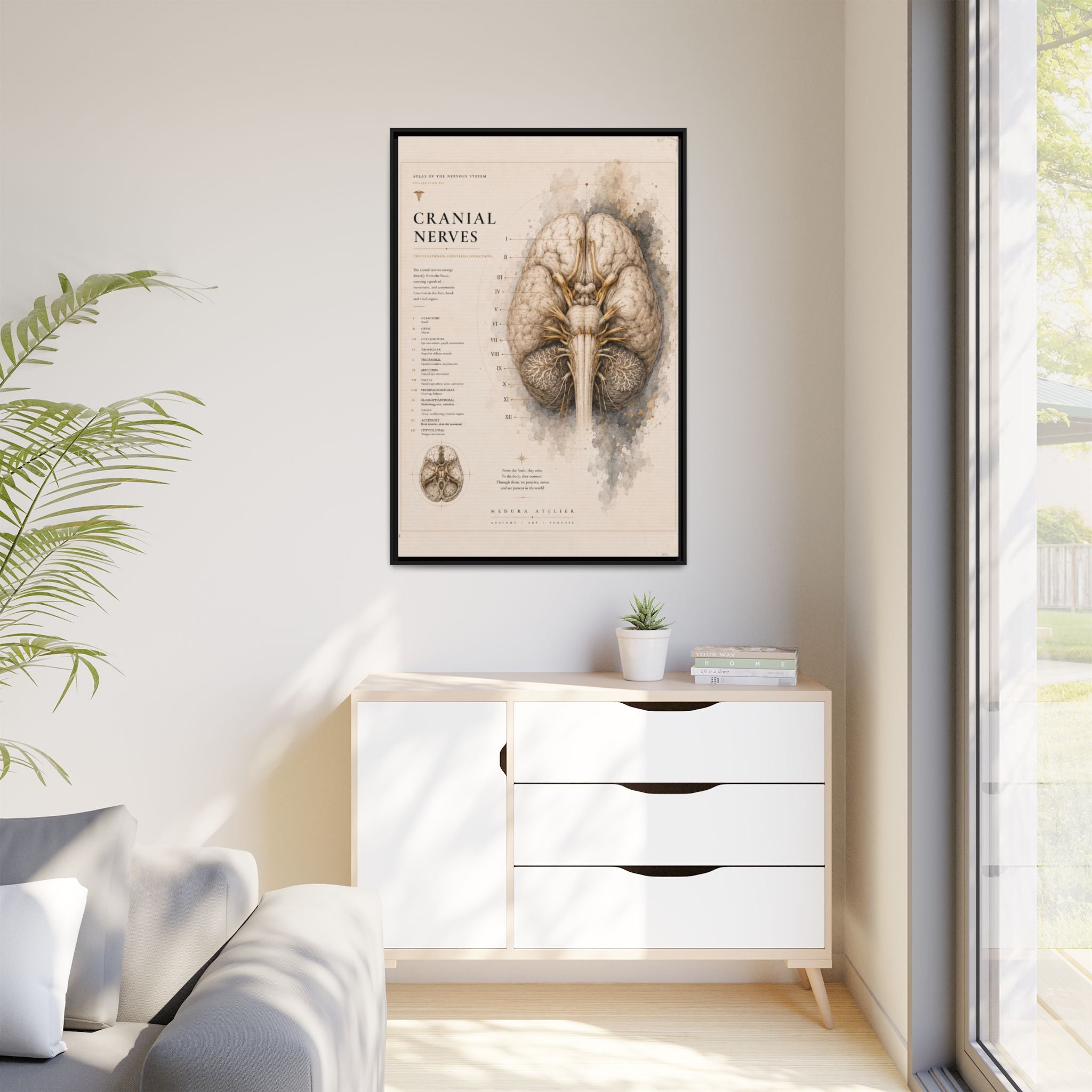 White Matter Brain Wall Art | Luxury Neuroscience Canvas Print | Museum-Inspired Fine Art