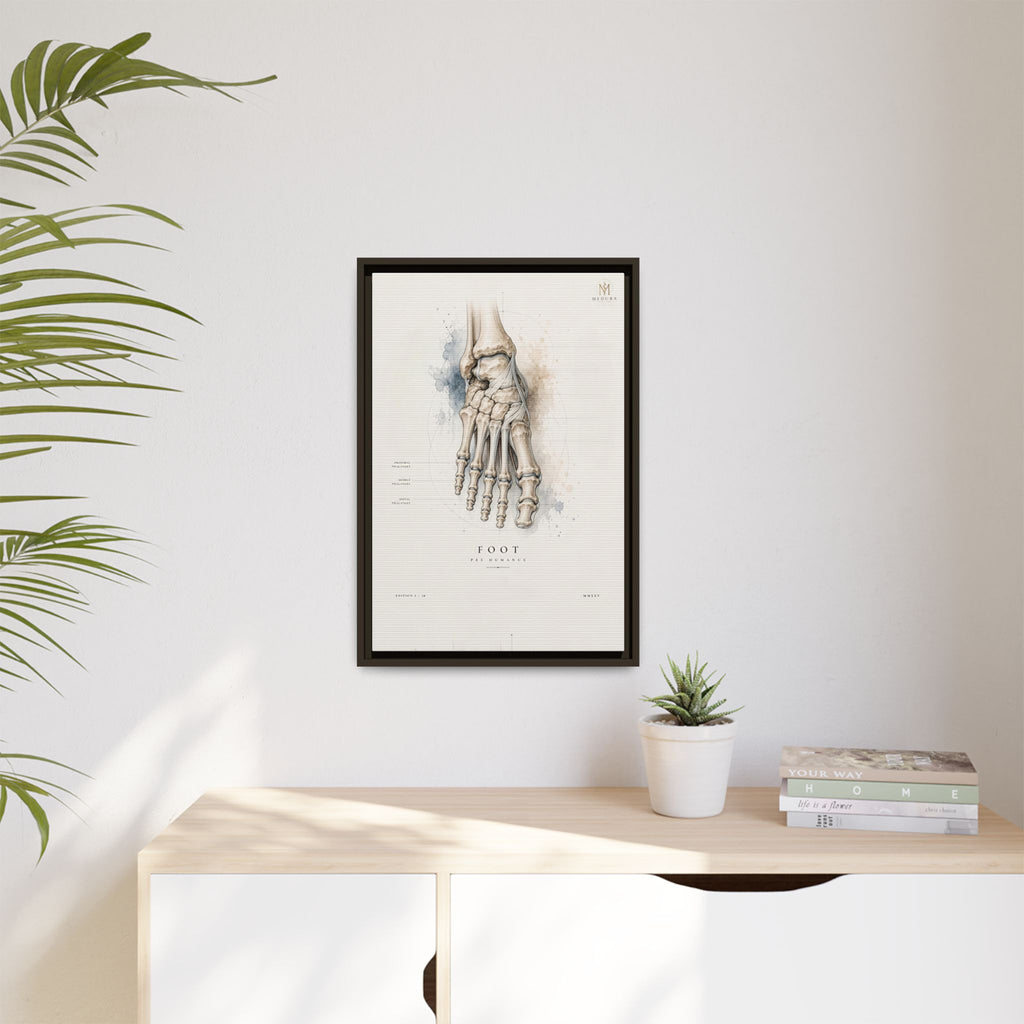 Anatomical Foot Skeleton Wall Art | Luxury Podiatry Canvas Print | Museum-Inspired Fine Art