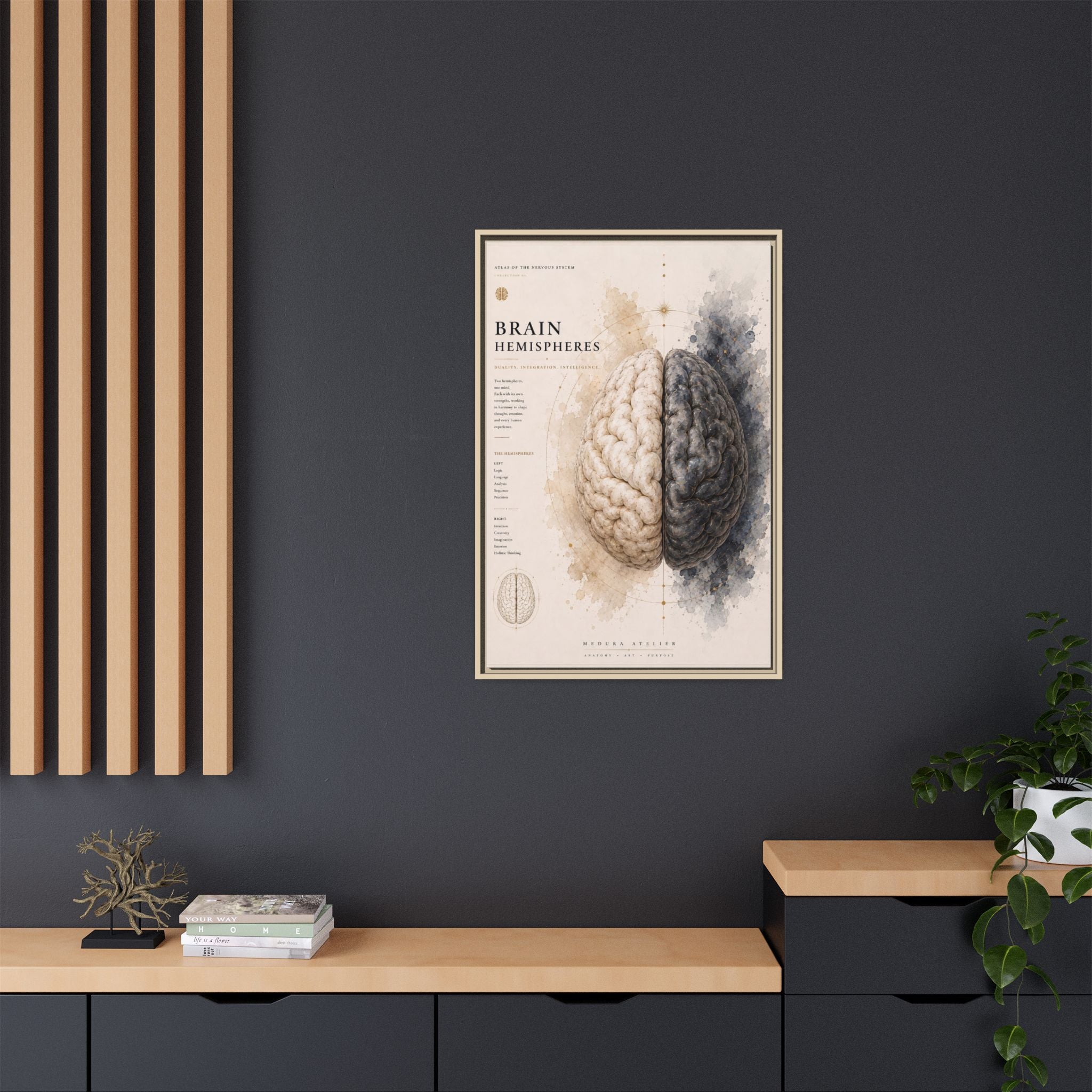 Brain Hemispheres Wall Art | Luxury Neuroscience Canvas Print | Museum-Inspired Fine Art