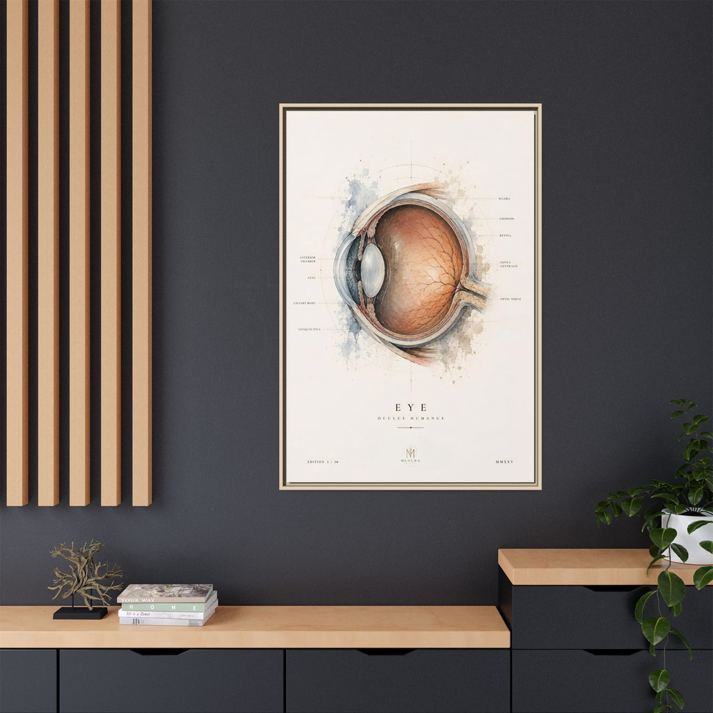 Anatomical Eye Canvas Print | Luxury Ophthalmology Wall Art | Museum-Inspired Medical Decor