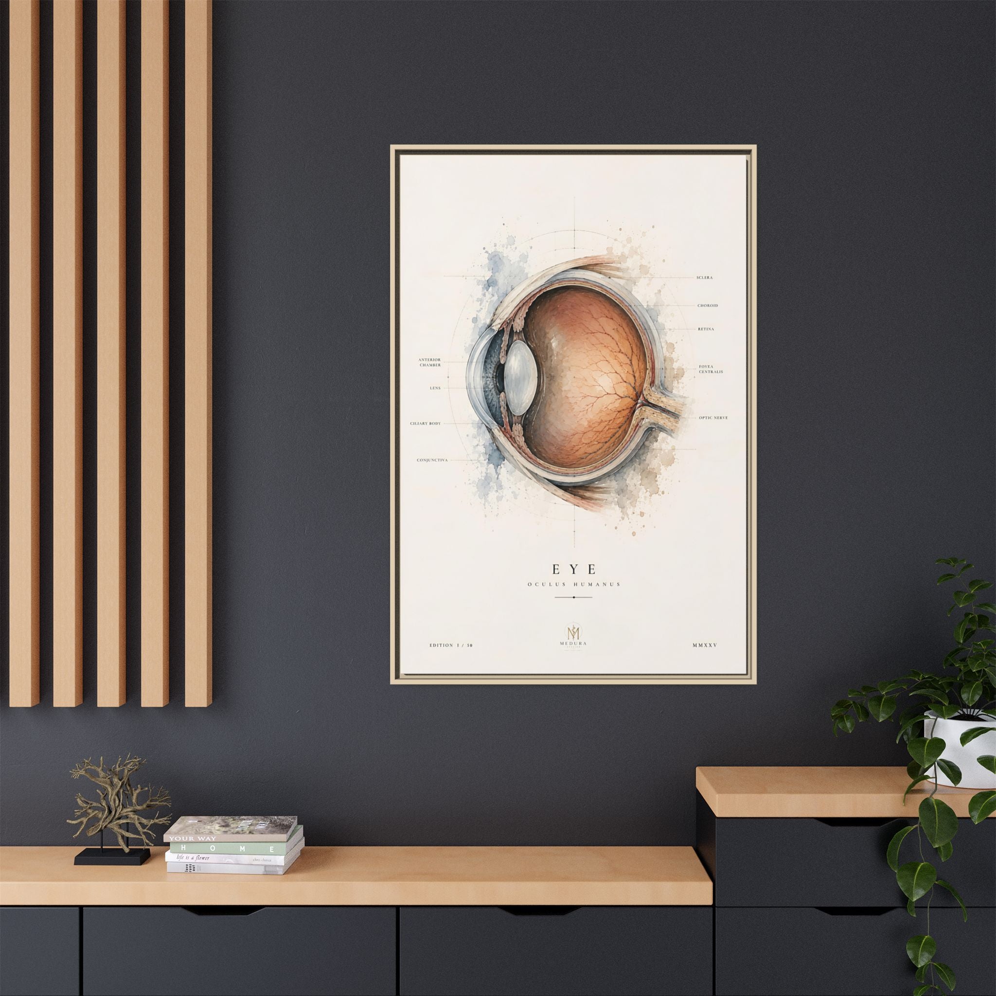Anatomical Eye Canvas Print | Luxury Ophthalmology Wall Art | Museum-Inspired Medical Decor