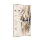 Orthopaedic Knee Anatomy Wall Art | Luxury Orthopedic Canvas Print | Museum-Inspired Fine Art