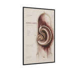 Silent Organs – Hippocampus Wall Art | Luxury Neuroscience Canvas Print | Museum-Inspired Fine Art