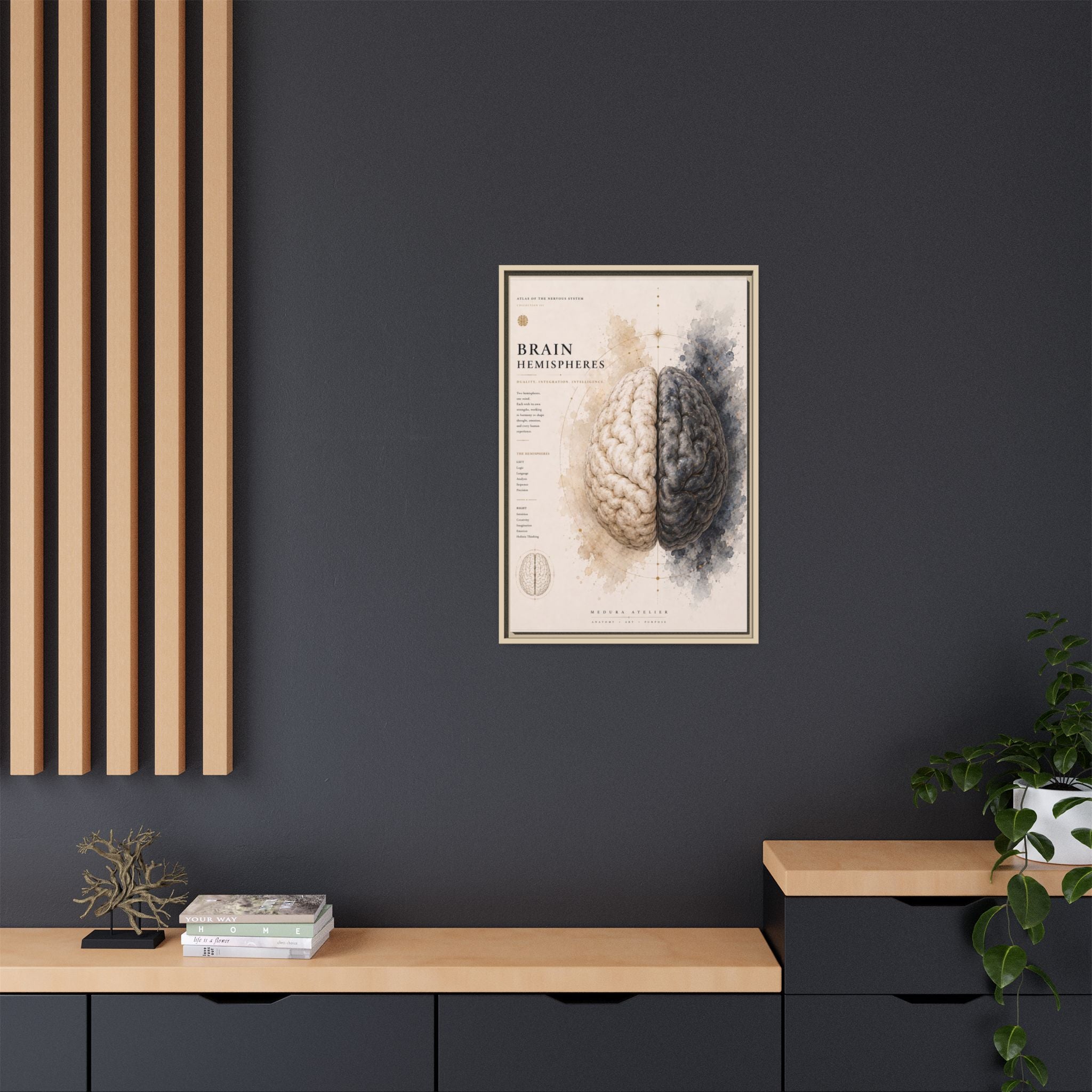 Brain Hemispheres Wall Art | Luxury Neuroscience Canvas Print | Museum-Inspired Fine Art